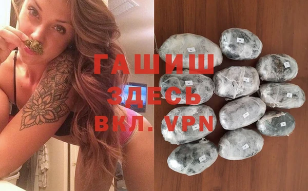 крисы Надым
