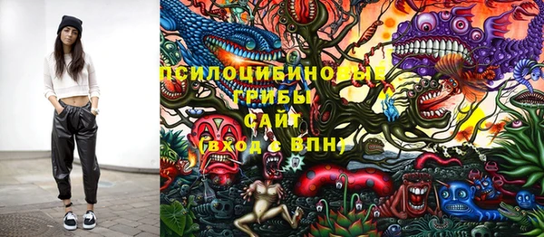 дмт Заволжск